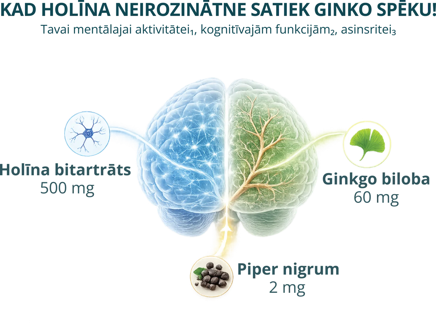 Holīna bitartrāts 500 mg, Ginkgo biloba 60 mg, Piper nigrum 2 mg — tavai mentālajai aktivitātei, kognitīvajām funkcijām, asinsritei